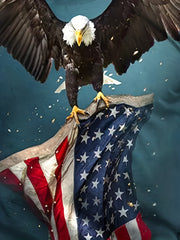 3D Eagle & Flag Print Men's Graphic Crew Neck Long Sleeve Tee