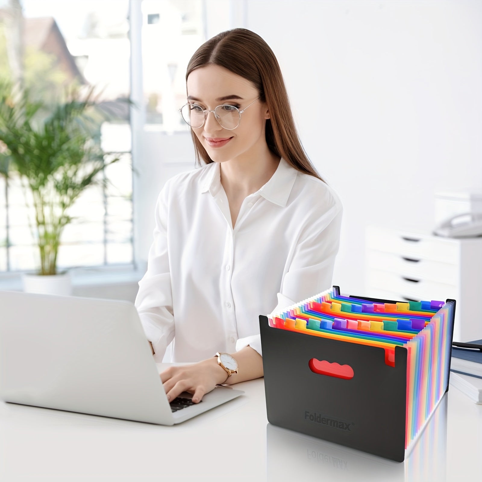 24 grid Expanding File Folder Organizer