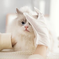 Pet Cleaning Glove & Wipes for Dog Cat Bathing Grooming