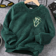 Embroidered Dino Print Boys Warm Sweatshirt