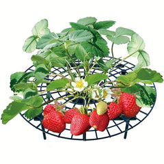 Plant Support Strawberry Support Garden Balcony Planter Green Climbing Pergola