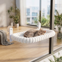 img_6353109