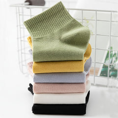 10 Pairs Women's Candy Socks Low Cut Ankle Sock Pack