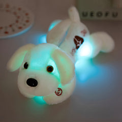 Soft Illuminated Dog Stuffed Animals in 4 Colors Night Light for Kids & Adults