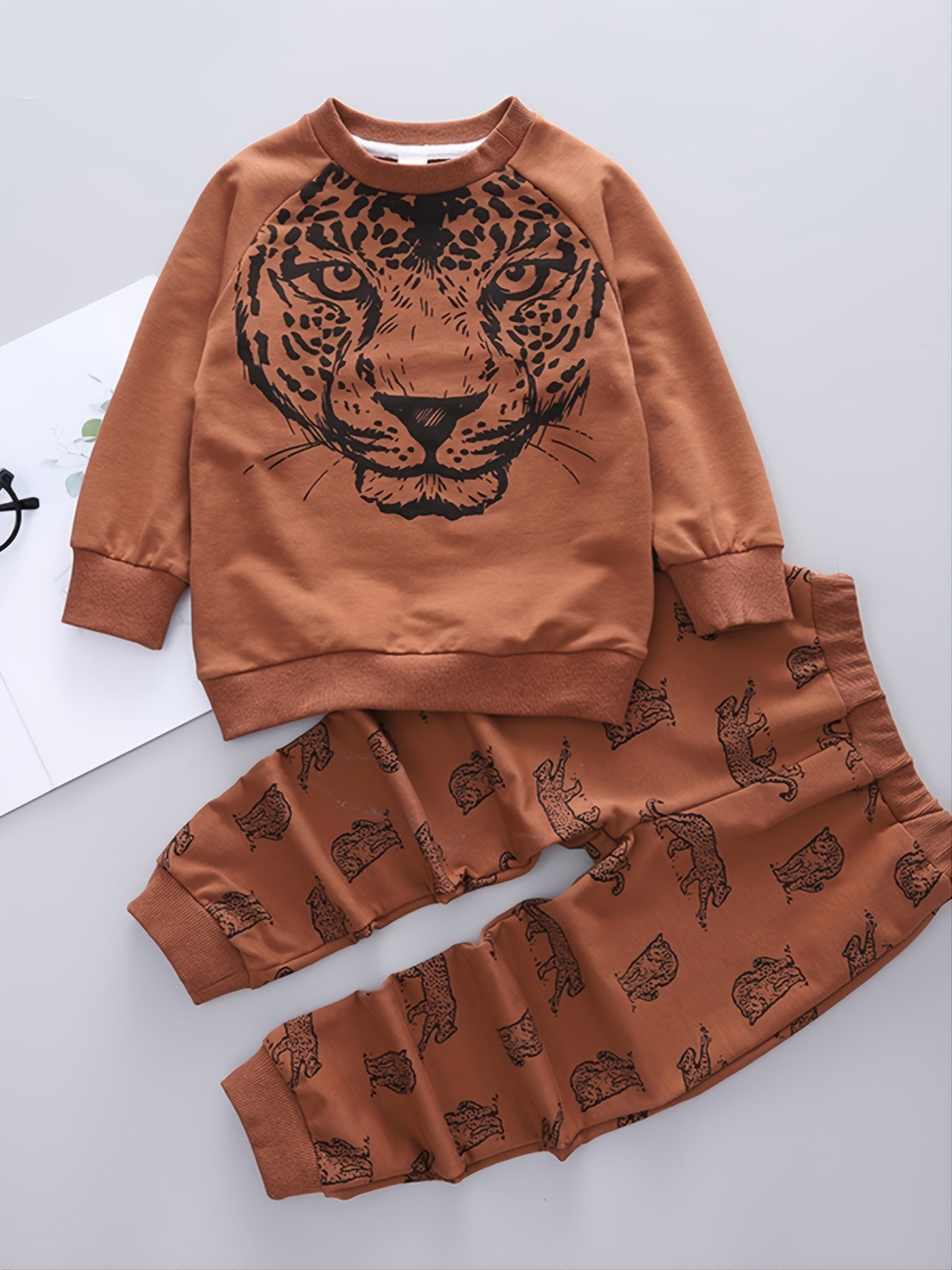 Boys Print Crew Neck Sweatshirt Trousers Set