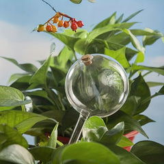 Large Capacity Glass Ball Plant Automatic Dripper Home Garden Watering Device
