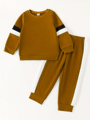 Boy's 2pcs Block Sweatshirt & Sweatpants Set for Spring Fall