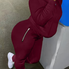 Solid Zipper Two piece Set Long Sleeve Workout Outfit