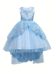 Girls Puffy Princess Dress Sleeveless Beaded Flowers Embroidery Tulle Lace Tutu