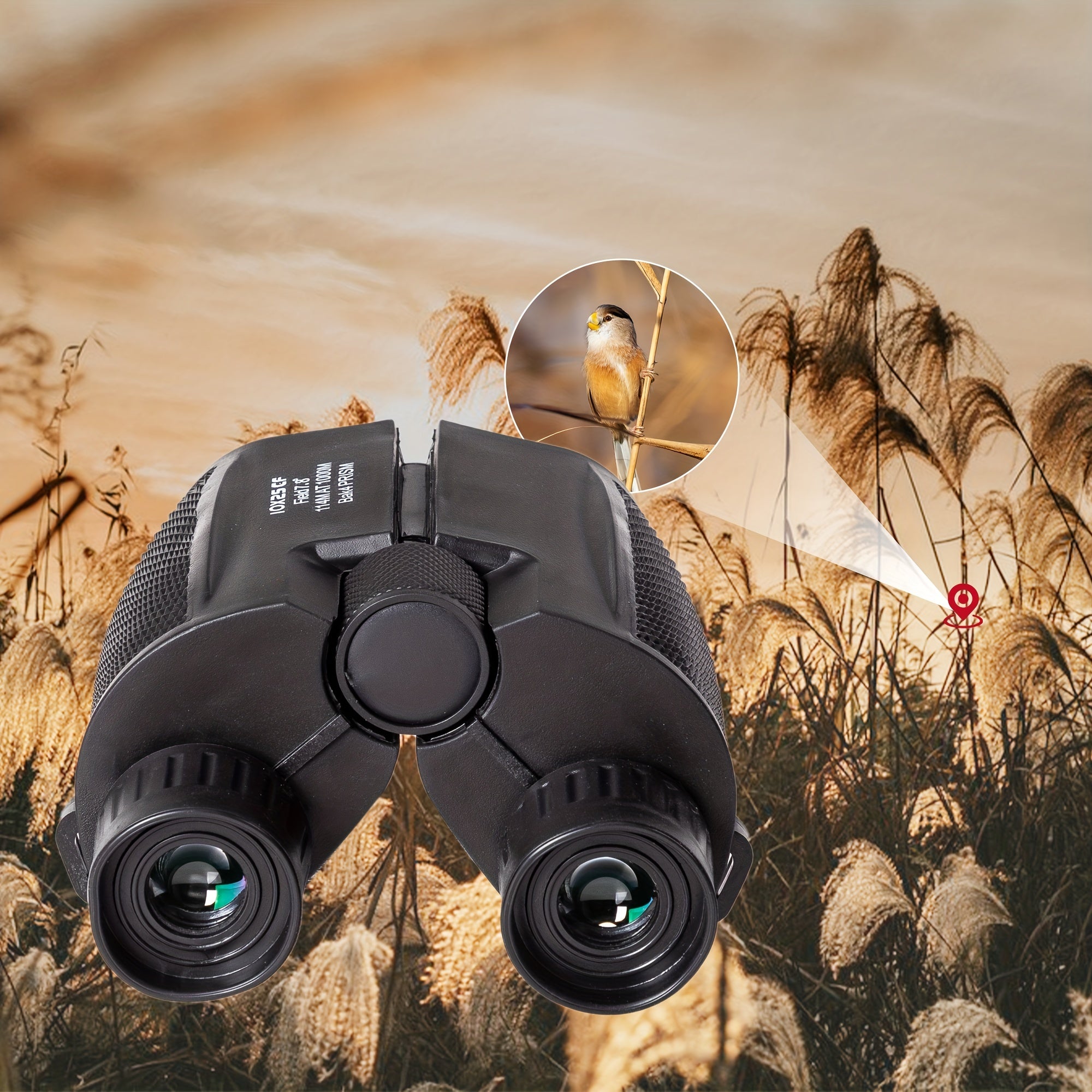 Compact Binoculars for Bird Watching, Travel, Outdoor Sports