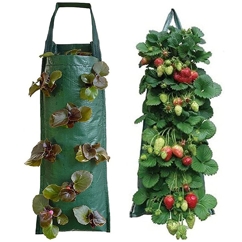 Vertical Grow Bag for Strawberries and Vegetables