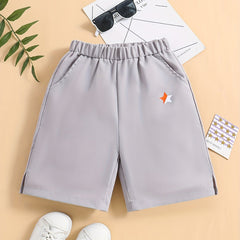 Boys Quick Dry Athletic Training Shorts With Pockets
