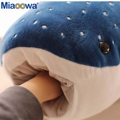 img_2920964