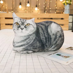 img_2922491