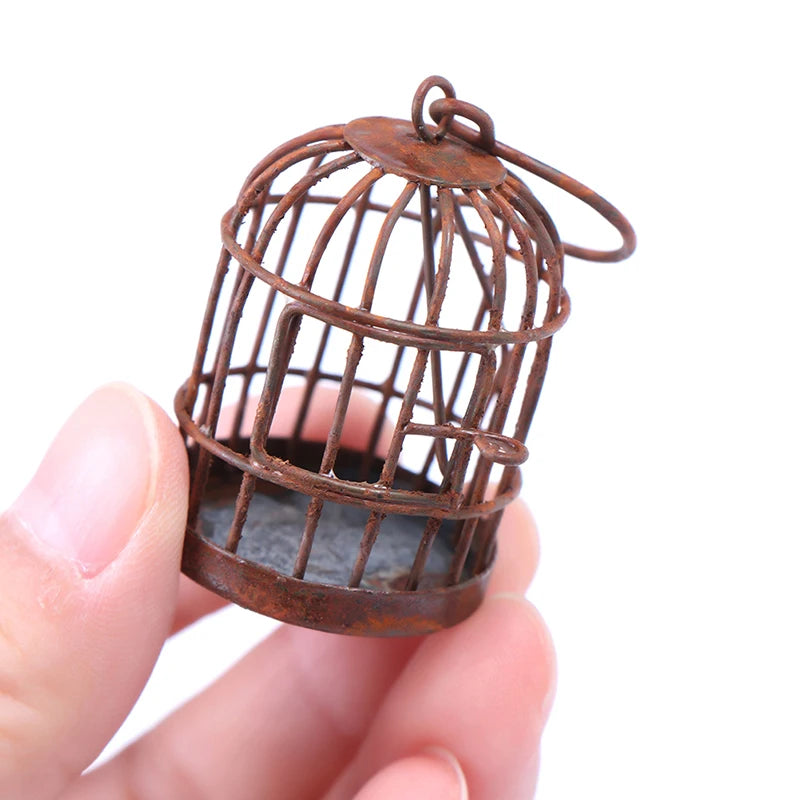 img_2989656