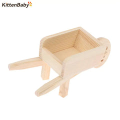img_2981849