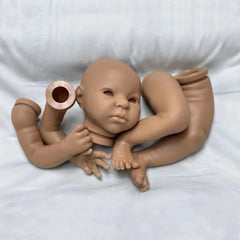 img_3043486