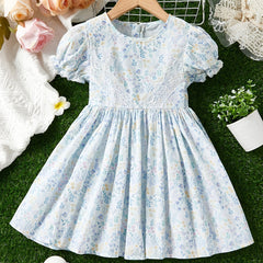 Toddler Girls Puff Sleeve Lace Frill Trim Flowers Graphic Princess Dress