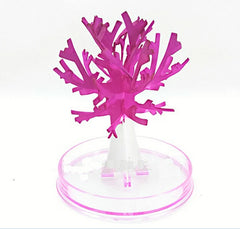 img_2675015