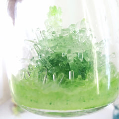 img_2675005