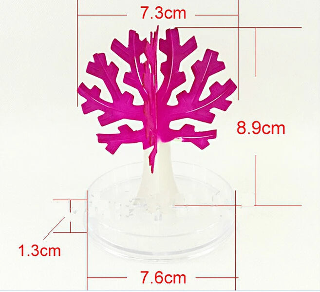 img_2675077