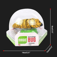img_2873368