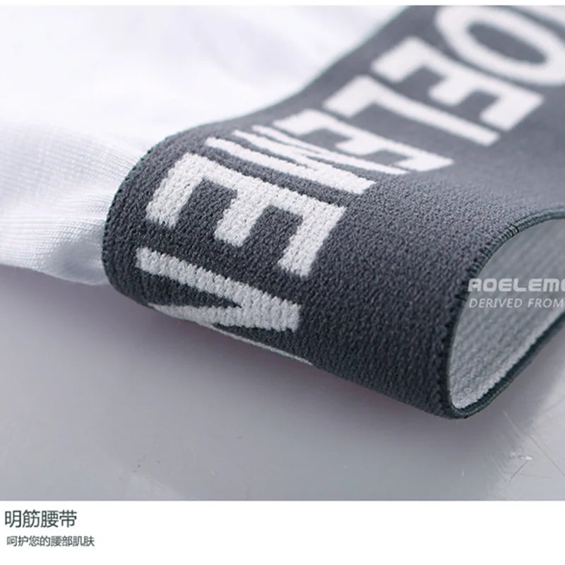 img_2635521