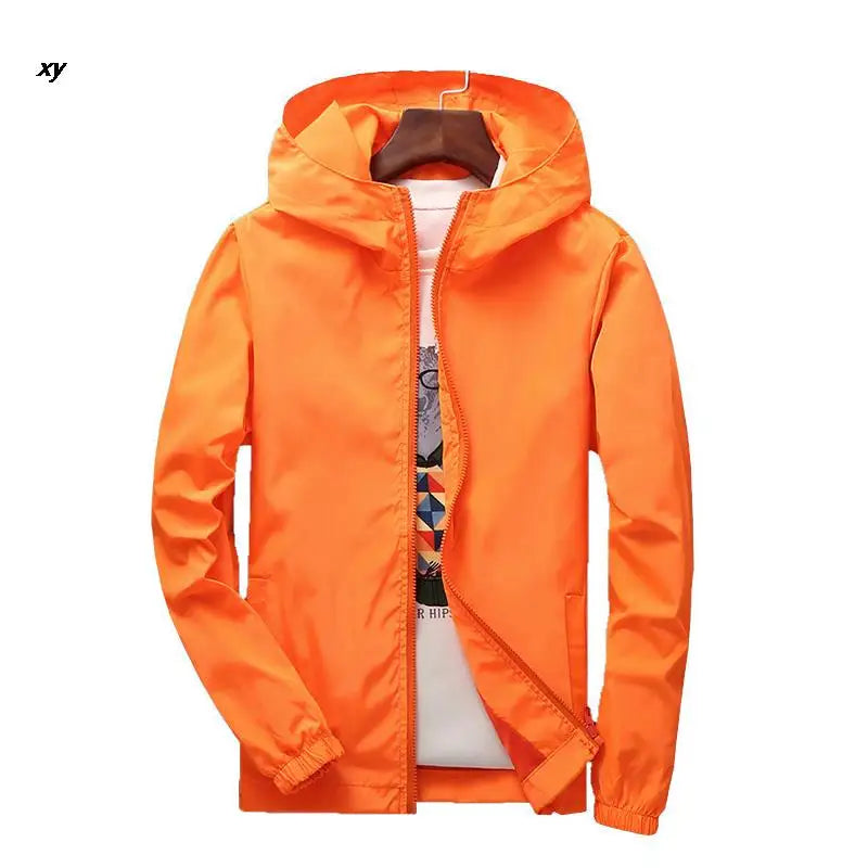 img_2045617