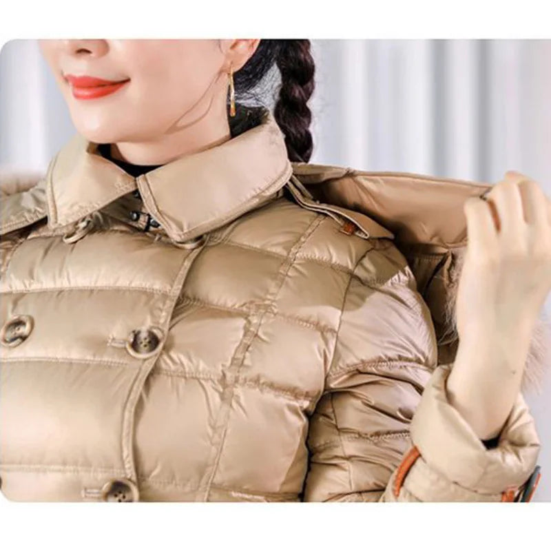 img_2492228
