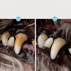 2pc Pets Teeth Cleaning Tools Double Sided Dogs Cats Tartar Remover Dental Stone