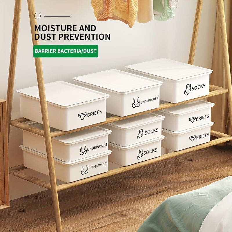 Drawer Type Storage Box Underwear Bra Socks Panty Organizer