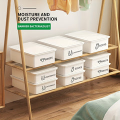 Drawer Type Storage Box Underwear Bra Socks Panty Organizer