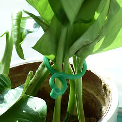 20pcs Plant Fixing Buckles for Enhancing Garden Beauty