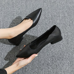 Women's Pointed Toe Low Heels Slip On Shoes Casual Work Shoes