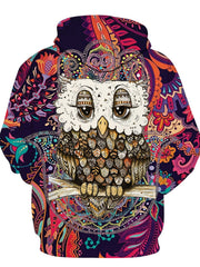 Colorful Owl Print Hoodies For Men Graphic Hoodie Comfy Loose Pullover
