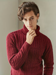Men's Turtle Neck Knit Sweater Casual Mid Stretch Pullover