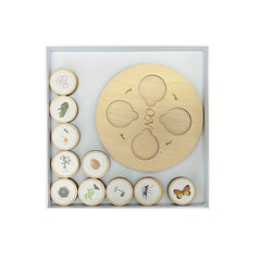 Animal Life Cycle Learning Set Educational Toy