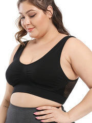 3 Pack Plus Size Sports Bra Set Wireless Mesh Fitness Bra 3pc