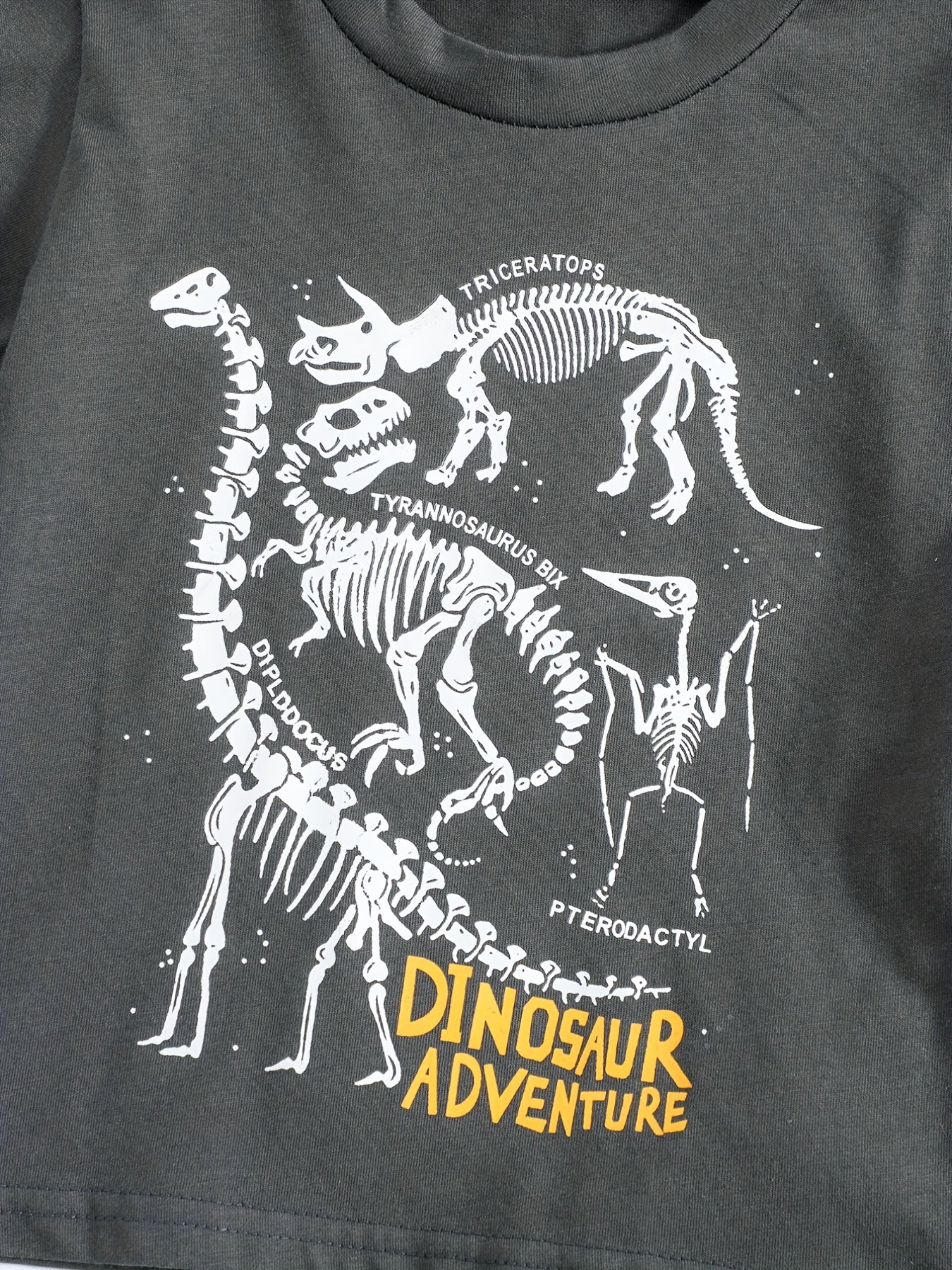 2pcs Dinosaur Print T shirt & Shorts Set For Boys Teen Summer