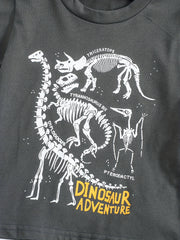 2pcs Dinosaur Print T shirt & Shorts Set For Boys Teen Summer