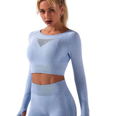 Seamless Yoga Set Mesh Crop Top & High Waist Leggings