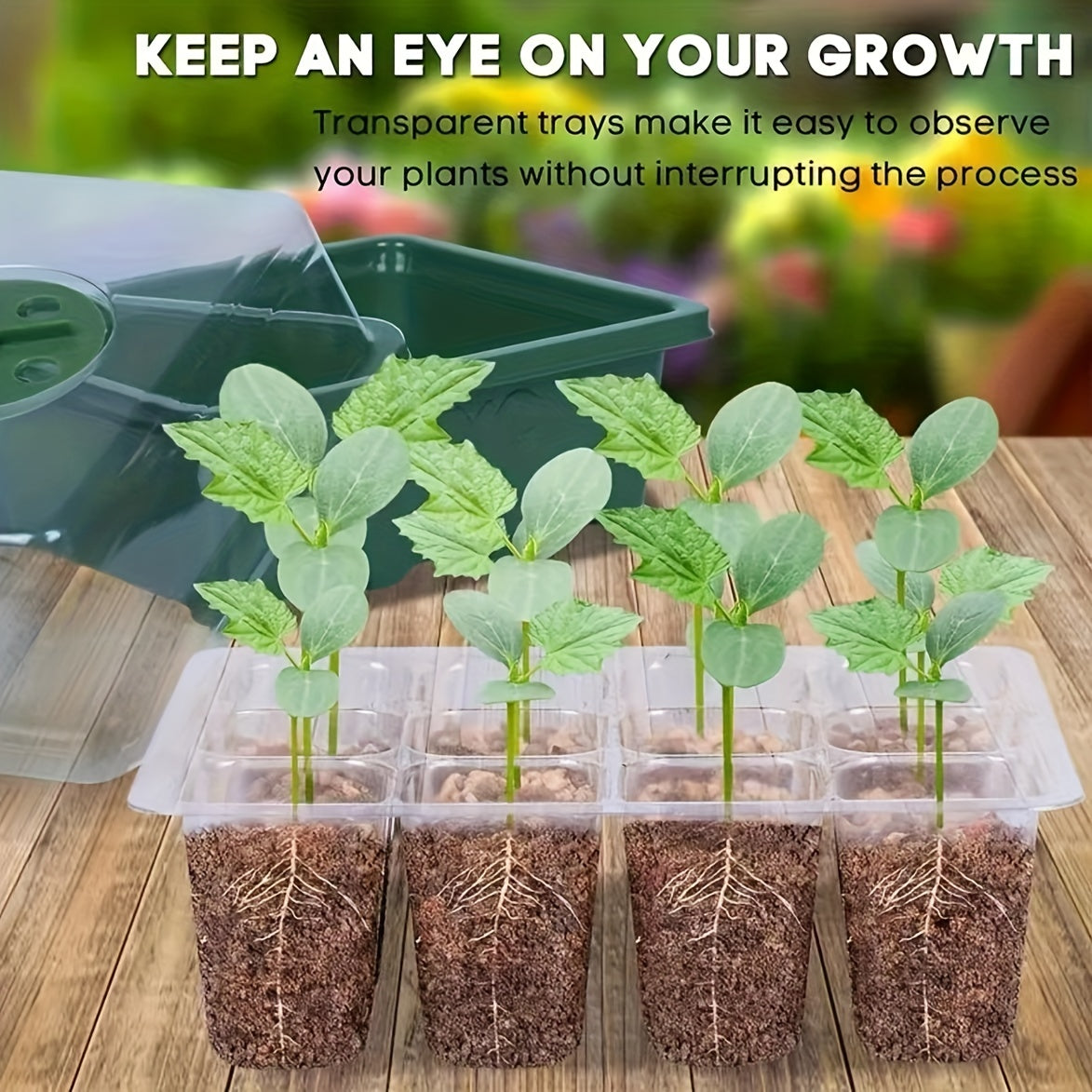 12 Hole Seed Grow Planter Box Seed Starter Tray Seeding Kits