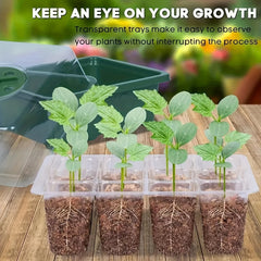 12 Hole Seed Grow Planter Box Seed Starter Tray Seeding Kits