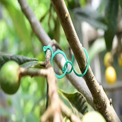 Plastic Vine Strapping Clips Plant Buckle Hook Connects Tomato Plant Stand Tools