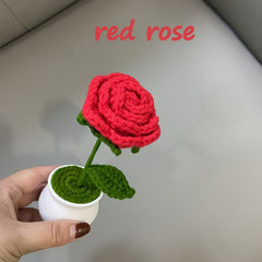 Hand-Woven Wool Crochet Pots for Flower Planting - Sunflower, Lily of the Valley