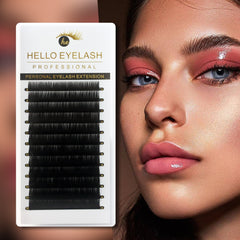 Volume Cashmere Silk Eyelash Extensions 0.07 C CC D DD 8-15mm Mixed Pack