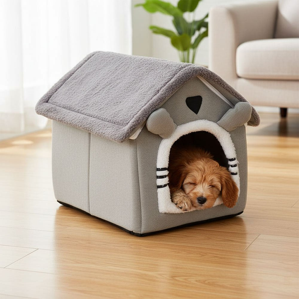 img_5308776