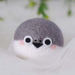 Wool Needle Felting Kit for Beginners - DIY Art Craft Material Package