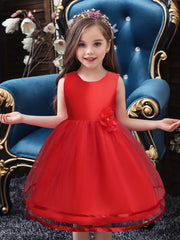 Girls Sleeveless Mesh Princess Dress With Flower Decor