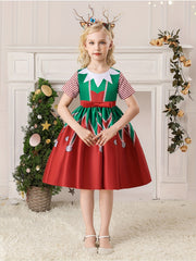 Girl's Christmas Style A-Line Dress Fairy Tale Character Cosplay Costume